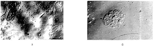 ГОСТ 19658-81 Кремний монокристаллический в слитках. Технические условия (с Изменениями N 1, 2)