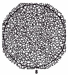 ГОСТ 5639-82 Стали и сплавы. Методы выявления и определения величины зерна (с Изменением N 1)
