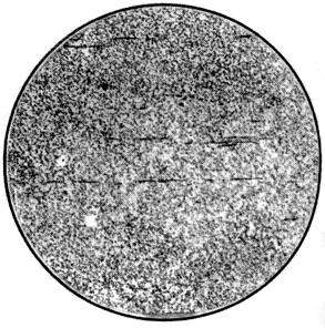 ГОСТ 5468-88 Проволока игольная. Технические условия (с Изменениями N 1, 2, с Поправкой)