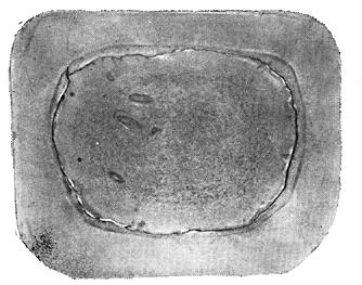 ГОСТ 10243-75 (СТ СЭВ 2837-81) Сталь. Методы испытаний и оценки макроструктуры (с Изменением N 1)
