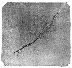 ГОСТ 10243-75 (СТ СЭВ 2837-81) Сталь. Методы испытаний и оценки макроструктуры (с Изменением N 1)