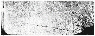 ГОСТ 22838-77 Сплавы жаропрочные. Методы контроля и оценки макроструктуры (с Изменением N 1)