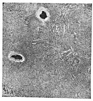 ГОСТ 10243-75 (СТ СЭВ 2837-81) Сталь. Методы испытаний и оценки макроструктуры (с Изменением N 1)
