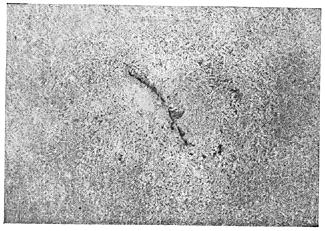 ГОСТ 10243-75 (СТ СЭВ 2837-81) Сталь. Методы испытаний и оценки макроструктуры (с Изменением N 1)