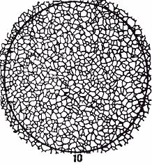 ГОСТ 5639-82 Стали и сплавы. Методы выявления и определения величины зерна (с Изменением N 1)