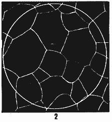 ГОСТ 5639-82 Стали и сплавы. Методы выявления и определения величины зерна (с Изменением N 1)