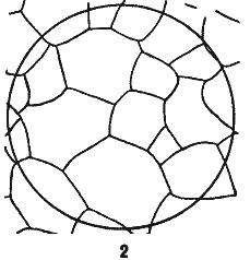 ГОСТ 5639-82 Стали и сплавы. Методы выявления и определения величины зерна (с Изменением N 1)