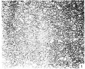 ГОСТ 26492-85 Прутки катаные из титана и титановых сплавов. Технические условия (с Изменениями N 1, 2)