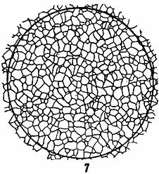 ГОСТ 5639-82 Стали и сплавы. Методы выявления и определения величины зерна (с Изменением N 1)