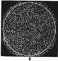 ГОСТ 5639-82 Стали и сплавы. Методы выявления и определения величины зерна (с Изменением N 1)
