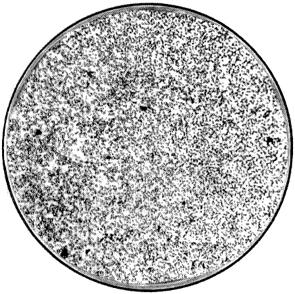 ГОСТ 5468-88 Проволока игольная. Технические условия (с Изменениями N 1, 2, с Поправкой)