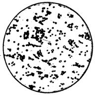 ГОСТ 5640-68 Сталь. Металлографический метод оценки микроструктуры листов и ленты