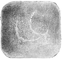 ГОСТ 10243-75 (СТ СЭВ 2837-81) Сталь. Методы испытаний и оценки макроструктуры (с Изменением N 1)