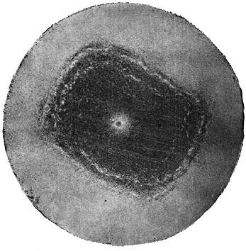 ГОСТ 10243-75 (СТ СЭВ 2837-81) Сталь. Методы испытаний и оценки макроструктуры (с Изменением N 1)