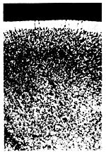 ГОСТ 1763-68 (СТ СЭВ 477-77, ИСО 3887-77) Сталь. Методы определения глубины обезуглероженного слоя (с Изменениями N 2, 3, 4, с Поправкой)