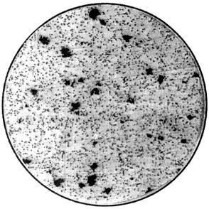 ГОСТ 5468-88 Проволока игольная. Технические условия (с Изменениями N 1, 2, с Поправкой)