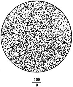 ГОСТ 8233-56 Сталь. Эталоны микроструктуры