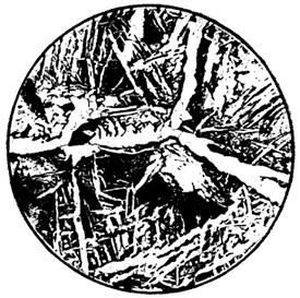 ГОСТ 5640-68 Сталь. Металлографический метод оценки микроструктуры листов и ленты