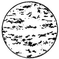 ГОСТ 5640-68 Сталь. Металлографический метод оценки микроструктуры листов и ленты