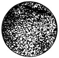 ГОСТ 5640-68 Сталь. Металлографический метод оценки микроструктуры листов и ленты