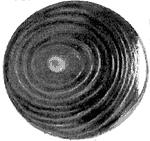 ГОСТ 19658-81 Кремний монокристаллический в слитках. Технические условия (с Изменениями N 1, 2)