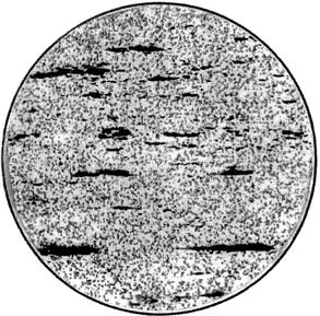 ГОСТ 5468-88 Проволока игольная. Технические условия (с Изменениями N 1, 2, с Поправкой)