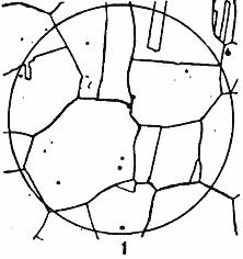 ГОСТ 5639-82 Стали и сплавы. Методы выявления и определения величины зерна (с Изменением N 1)