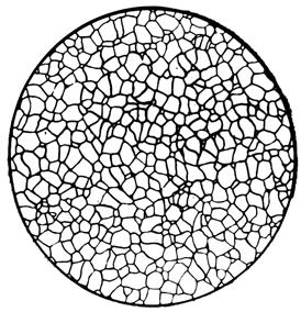 ГОСТ 21073.1-75 Металлы цветные. Определение величины зерна методом сравнения со шкалой микроструктур (с Изменением N 1)