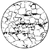ГОСТ 5640-68 Сталь. Металлографический метод оценки микроструктуры листов и ленты