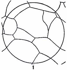 ГОСТ 5639-82 Стали и сплавы. Методы выявления и определения величины зерна (с Изменением N 1)