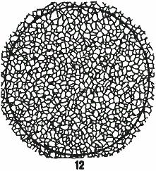 ГОСТ 5639-82 Стали и сплавы. Методы выявления и определения величины зерна (с Изменением N 1)