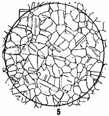ГОСТ 5639-82 Стали и сплавы. Методы выявления и определения величины зерна (с Изменением N 1)