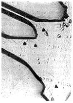 ГОСТ 19658-81 Кремний монокристаллический в слитках. Технические условия (с Изменениями N 1, 2)