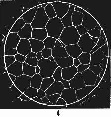 ГОСТ 5639-82 Стали и сплавы. Методы выявления и определения величины зерна (с Изменением N 1)
