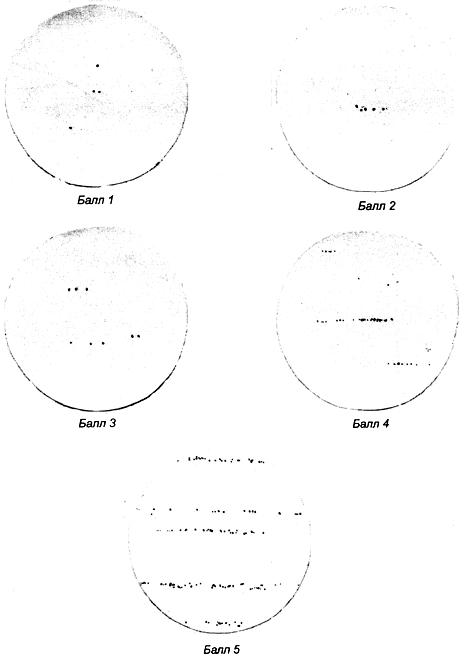 ГОСТ 28393-89 Прутки и полосы из быстрорежущей стали, полученной методом порошковой металлургии. Общие технические условия