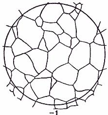ГОСТ 5639-82 Стали и сплавы. Методы выявления и определения величины зерна (с Изменением N 1)