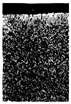 ГОСТ 1763-68 (СТ СЭВ 477-77, ИСО 3887-77) Сталь. Методы определения глубины обезуглероженного слоя (с Изменениями N 2, 3, 4, с Поправкой)