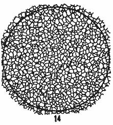 ГОСТ 5639-82 Стали и сплавы. Методы выявления и определения величины зерна (с Изменением N 1)
