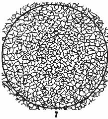 ГОСТ 5639-82 Стали и сплавы. Методы выявления и определения величины зерна (с Изменением N 1)