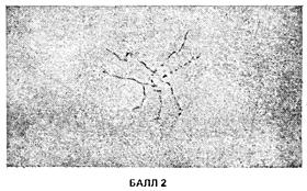 ГОСТ 10243-75 (СТ СЭВ 2837-81) Сталь. Методы испытаний и оценки макроструктуры (с Изменением N 1)