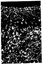 ГОСТ 1763-68 (СТ СЭВ 477-77, ИСО 3887-77) Сталь. Методы определения глубины обезуглероженного слоя (с Изменениями N 2, 3, 4, с Поправкой)