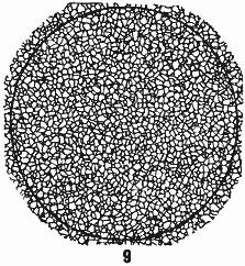 ГОСТ 5639-82 Стали и сплавы. Методы выявления и определения величины зерна (с Изменением N 1)