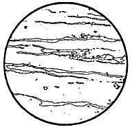 ГОСТ 11878-66 Сталь аустенитная. Методы определения содержания ферритной фазы в прутках (с Изменениями N 1, 2)