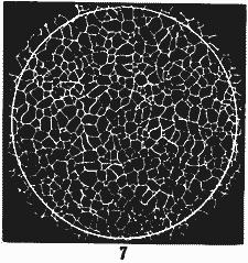 ГОСТ 5639-82 Стали и сплавы. Методы выявления и определения величины зерна (с Изменением N 1)