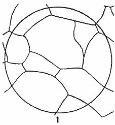 ГОСТ 5639-82 Стали и сплавы. Методы выявления и определения величины зерна (с Изменением N 1)