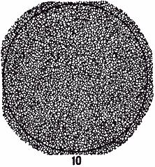 ГОСТ 5639-82 Стали и сплавы. Методы выявления и определения величины зерна (с Изменением N 1)