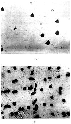 ГОСТ 19658-81 Кремний монокристаллический в слитках. Технические условия (с Изменениями N 1, 2)