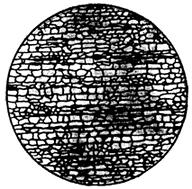 ГОСТ 5640-68 Сталь. Металлографический метод оценки микроструктуры листов и ленты