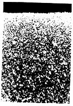 ГОСТ 1763-68 (СТ СЭВ 477-77, ИСО 3887-77) Сталь. Методы определения глубины обезуглероженного слоя (с Изменениями N 2, 3, 4, с Поправкой)