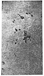 ГОСТ 10243-75 (СТ СЭВ 2837-81) Сталь. Методы испытаний и оценки макроструктуры (с Изменением N 1)